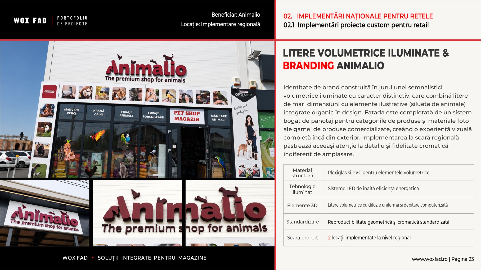 Animalio — Litere volumetrice iluminate & branding